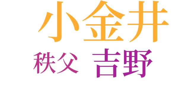 小金井の桜のword cloud