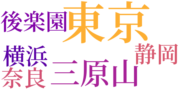 新春・日本の空を飛ぶのword cloud