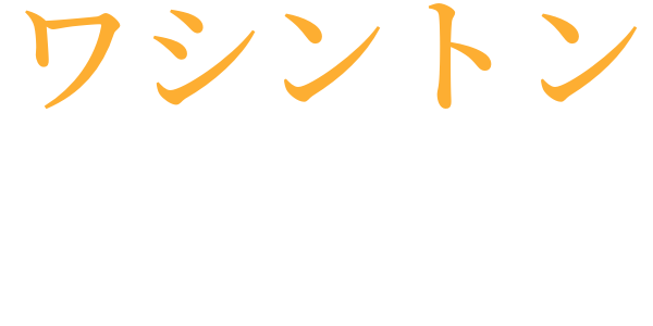 近頃の幽霊のword cloud